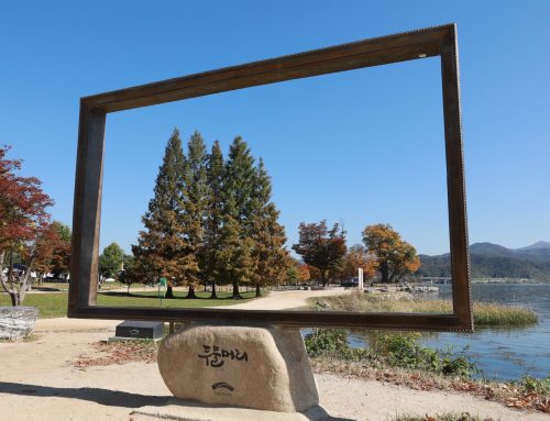 한 대의 웹서버에 여러 홈페이지 세팅하기